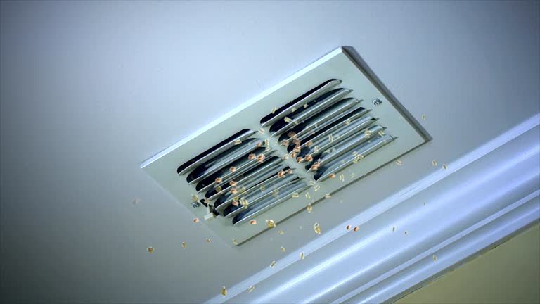 Best HVAC Duct Inspection Services  in Marin City, CA
