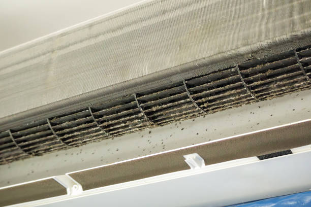 Best Affordable Duct Cleaning Services  in Marin City, CA